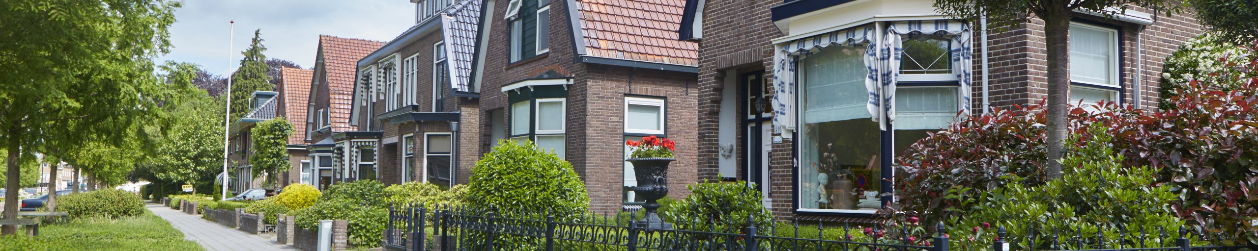 Sfeerfoto Steenwijkerweg in Wolvega